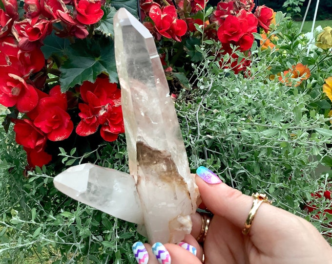 Lemurian Quartz Crystal Cluster ~ Large 7 oz. ~ 4 1/2" Long ~ Sparkling Long Frosted Clear Points ~ Fast & Free Shipping + Gift Wrapping