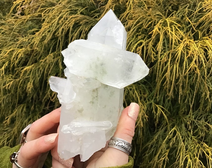 Himalayan Healing Clear Quartz Crystal Cluster ~ Large 1 Lb. 5 oz. ~ 5" Long ~ Ultra Sparkling, Translucent Long Points ~ Fast Shipping