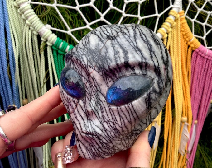 Picasso Jasper Crystal Alien Skull ~ Large 2 Lb. 9 oz. ~ 4" Long ~ with Labradorite Eyes ~ One-of-a-Kind Color ~ Hand Crafted Sculpture