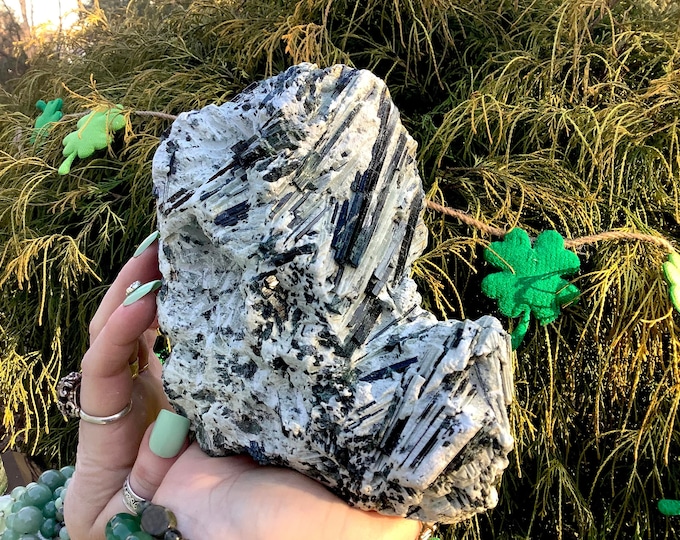Green Actinolite Crystal Cluster ~ Large 5 lb. 11 oz. ~ 6" Tall ~ Natural Unpolished Raw Stone ~ Self Standing Altar Display ~ Fast Shipping