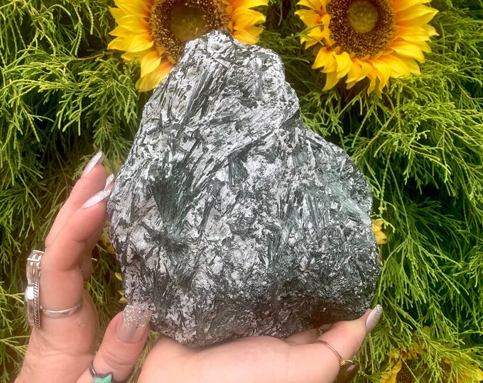 Green Actinolite Crystal Cluster ~ Large 5 lb. 4 oz. ~ 6" Long ~ Natural Unpolished Rare Stone ~ Standing Display ~ Fast Shipping from U.S.A