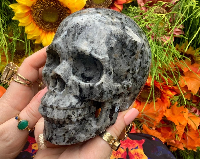 Hand Carved Larvikite Crystal Skull Sculpture: 2 Lb 13 oz, 5" Long