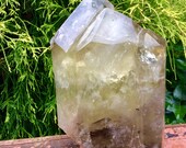 8 Lb 9 oz Citrine Multi Points Quartz Crystal Cluster 9 inches Tall Ghost Phantom Rainbow Inclusions Meditation, Reiki, Feng Shui