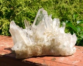 11.5 oz Water Clear Quartz Crystal Cluster Delicate, Dainty, Perfect Points Display, Reiki, Meditation Museum Quality Feng Shui