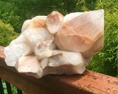 21 LB 8 oz Massive Red Golden Healer Quartz Crystal Feng Shui Colossal Point Centerpiece God 39 s Art Entryway Display, Zen, Y