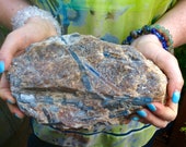 7 LBS Massive Blue Kyanite Cluster on Matrix Crystal Mineral Display Specimen Free Shipping Gift Wrap Feng Shui, Zen Room, Decor