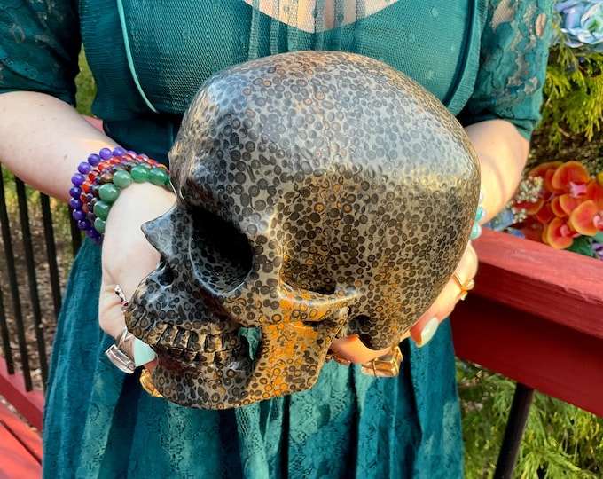 Orbicular Indigo Gold Jasper Crystal Skull ~ Large 7 Lb. 7 oz. ~ 6" Long ~ One-of-a-Kind Carving ~ Swirling Black Colors ~ Fast Shipping