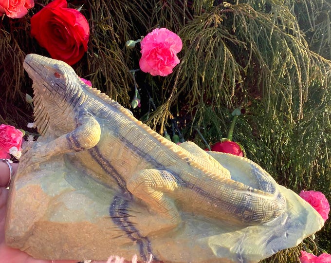Serpentine Lizard Crystal Carving ~ Large 4 Lb. 10 oz. ~ 9" Long ~ Vintage Hand Carved Animal Totem, Altar Display ~ Fast & Free Shipping
