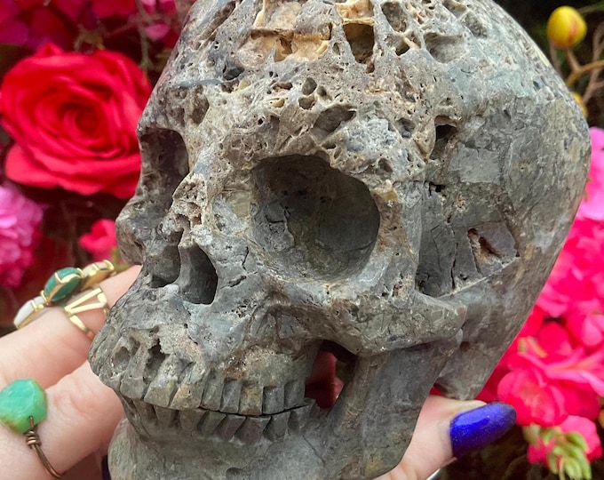 Fossilized Jasper Crystal Skull ~ Large 2 Lb. 7 oz ~ 5" Long ~ Hand Carved Sculpture ~ Swirling Purple, Gray & Black Colors