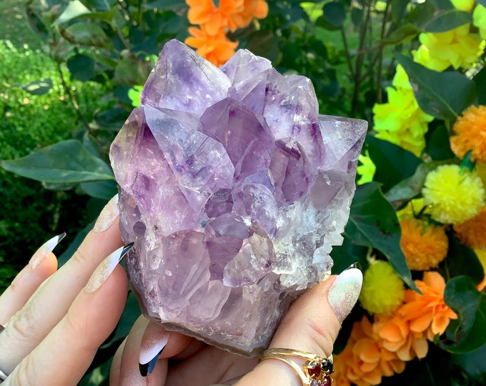 Amethyst Crystal Cluster ~ Large 1 Lb. 6 oz ~ 3" Tall ~ Gorgeous Display ~ Natural Beautiful Purple Quartz Points ~ Fast & Free Shipping USA