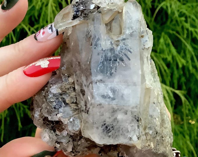 Himalayan Clear Quartz Crystal Cluster ~ 6.7 oz. ~ 3" Long ~ Actinolite Encrusted Inclusions ~ Sparkling Points ~ Natural Ancient Striations