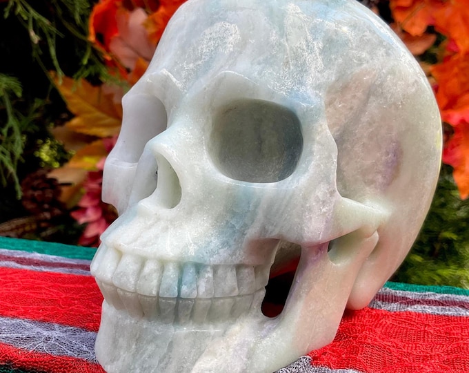 Amazonite Crystal Skull ~ 3 Lb. 4 oz. ~ 5" Long ~ One-of-a-Kind Green, White & Blue Colors ~ Expertly Hand Carved ~ Fast Free Shipping U.S.A