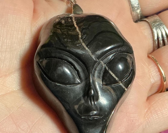 Petrified Wood Gemstone Alien Skull Pendant 2.2 oz. Crystal ~ 2" Long ~ Swirling Black Colors ~ Hand Carved Sculpture ~ Fast & Free Shipping