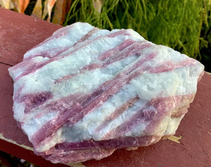 Pink Tourmaline in Quartz Crystal ~ Large 12 oz. ~ 4" Long ~ Gemmy Colorful Bands on Sparkling Matrix ~ Fast & Free Shipping ~