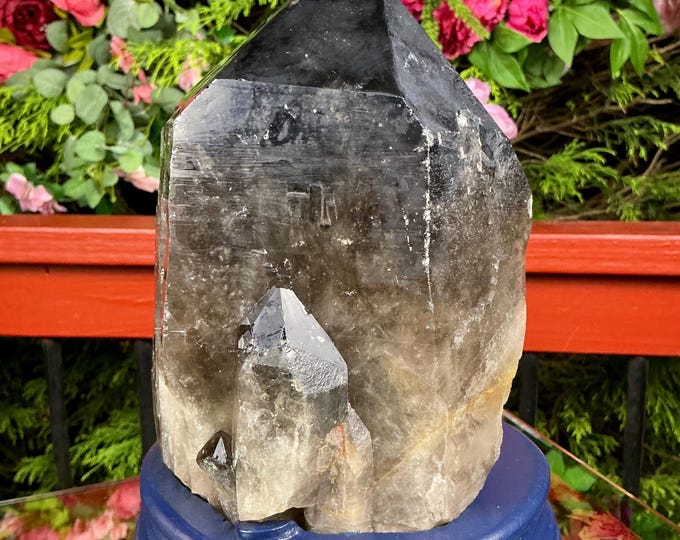 Black Morion Quartz Display Crystal 12 Lb. Single-Terminated Point Cluster ~ 8" Tall ~Natural Black Color ~ Custom Hand Carved Stand
