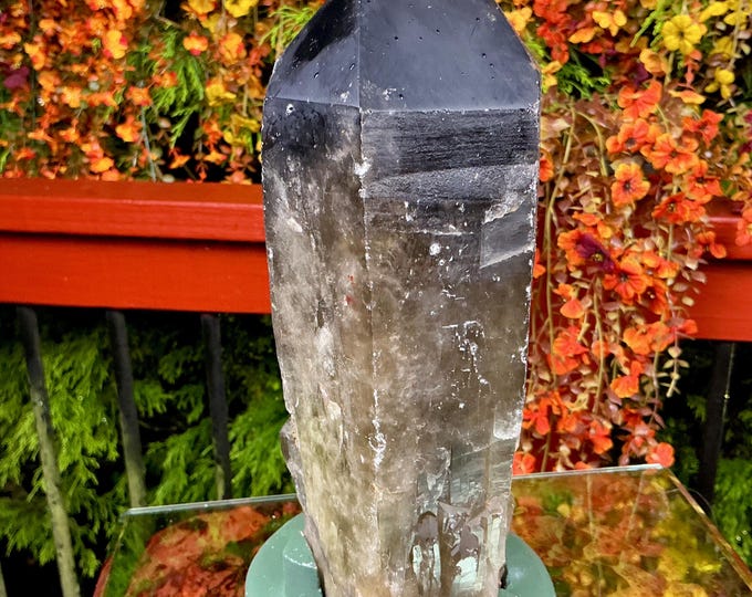 Black Morion Quartz Display Crystal 6 Lb. 11 oz.  Single-Terminated Point Cluster ~ 10" Tall ~Natural Black Color ~ Custom Hand Carved Stand