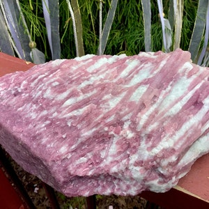 May include: A large, raw mineral specimen featuring a striking combination of vibrant pink and opaque white crystalline structures. The stone displays a layered, fibrous texture with elongated, parallel formations running across its surface.