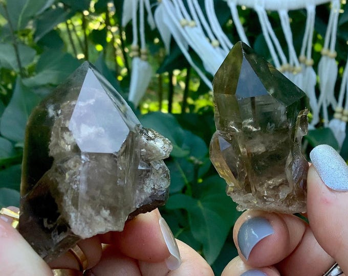CLEARANCE ~ Smokey Quartz Crystals Duo of Pocket or Altar Crystals ~ 2 Gorgeous, Glowing Sparkling Colors ~