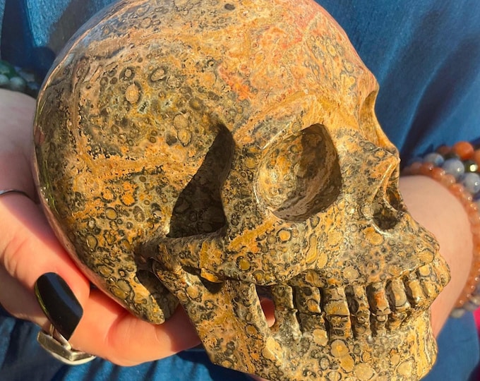Orbicular Jasper Crystal Skull ~ Large 2 Lb. 5 oz. ~ 5" Long ~ One-of-a-Kind Carving ~ Swirling Gold & Black Colors ~ Fast and Free Shipping