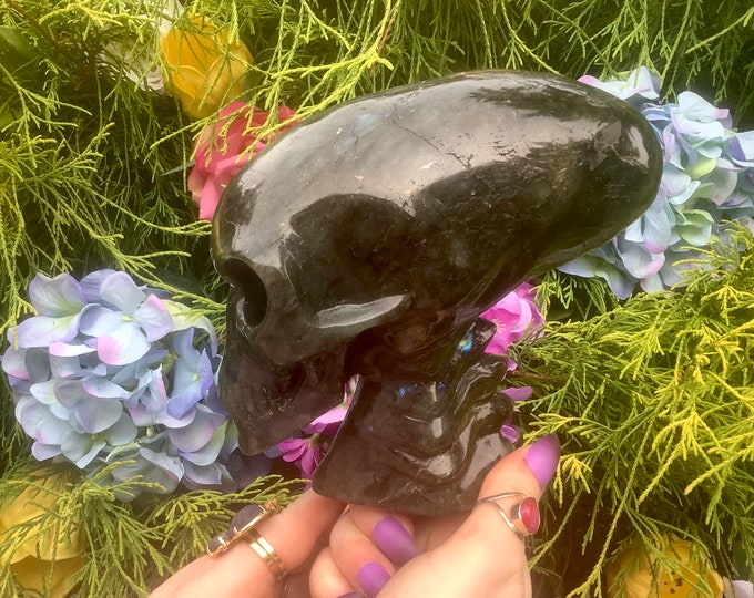 Labradorite Crystal Alien Skull ~ Large 4 Lb. 8 oz. ~ 7" Long ~ Hand Carved Elongated Head ~ Sparkling Iridescent Flashes of Peacock Colors