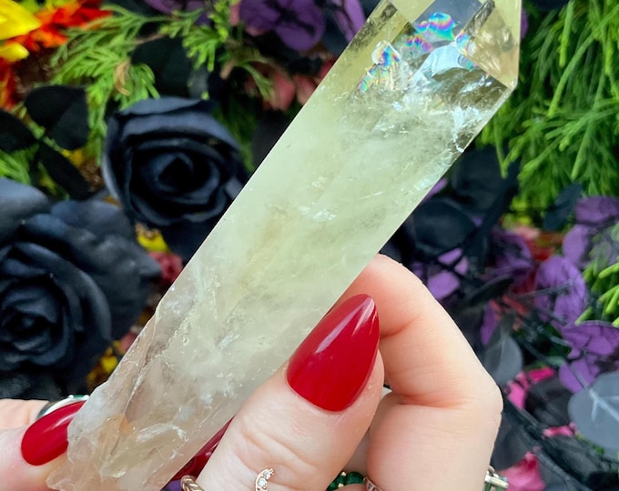 Citrine Quartz Crystal Wand ~ Large 5 oz. ~ 5" Long ~ High Altitude Himalayan Point ~ Clear Yellow Phantoms Sparkling Rainbow Inclusions