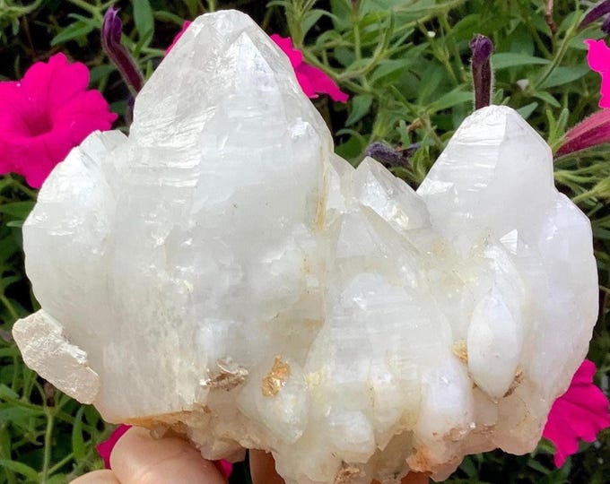 Himalayan Healing Quartz Crystal Cluster ~ Large 1 Lb. 5 oz. ~ 4" Long ~ Sparkling Striations ~ Double Terminated Points