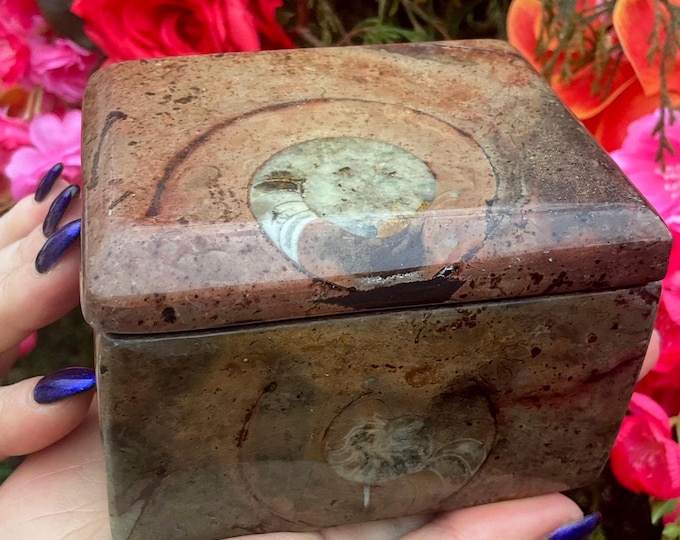 Ammonite Fossil Jewelry Box ~ 4" Long ~ Vintage Hand Carved Treasure Box with Lid ~ Golden, Brown & Red Colors ~ Fossilized Patterns