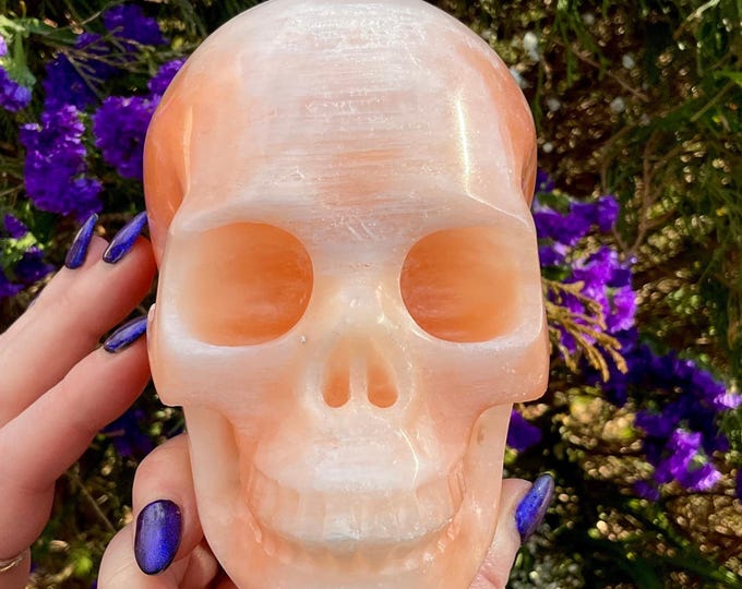 Orange Selenite  Crystal Skull ~ Large 2 Lb. 8 oz. ~ Hand Carved ~ 5" Long ~ Translucent Sparkling Clear Inclusions ~ Free Standing