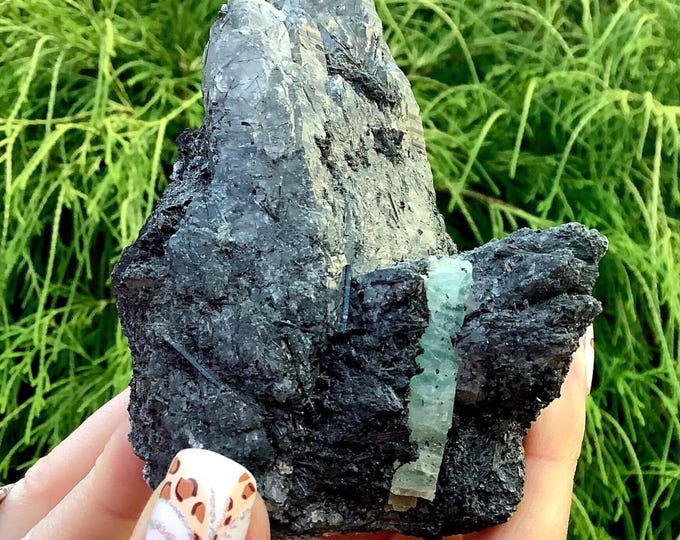 Himalayan Quartz Crystal Cluster ~ 12 oz. ~ 4" Long ~ Sparkling Emerald Beryl in Natural Actinolite Ancient Matrix ~ Fast & Free Shipping