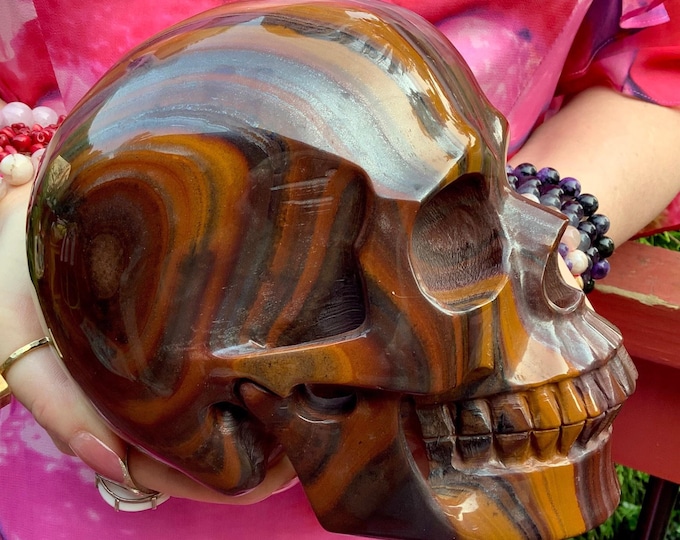 Tigers Eye Crystal Skull ~ Large 8 Lb. 7 oz. ~ 7" Long One-of-a-Kind Carving ~ Swirling Golden Red Brown & Black Colors ~ High Quality