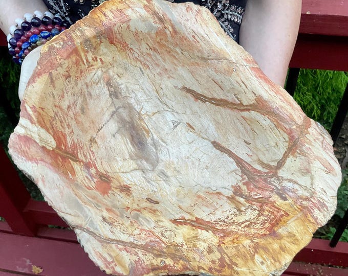 Petrified Wood Jewelry Dish ~ Large 15 lb. 15 oz. ~ 12" Wide ~ Stunning Display from Indonesia ~ Millions of Years Old ~ Fast Free Shipping