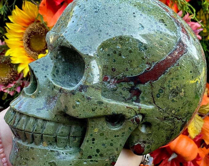 Bloodstone Crystal Skull ~ Large 9 Lb. ~ 7" Long ~ Red and Green ~ One-of-a-Kind ~ Expertly Hand Carved Sculpture