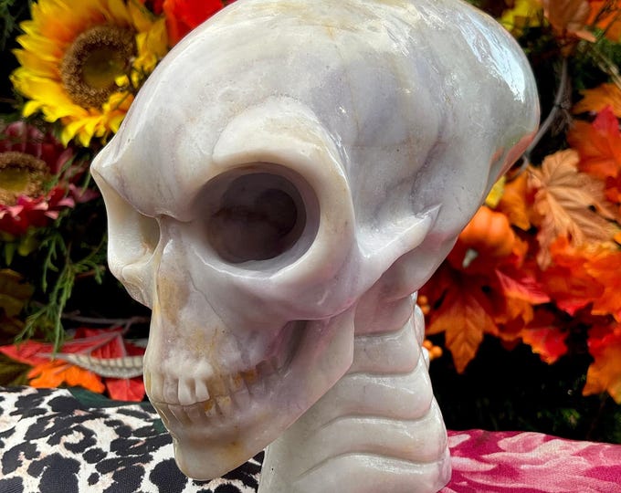 Purple Fluorite Crystal Alien Skull ~ Large 4 Lb 11 oz ~ 6" Long ~ One-of-a-Kind Carving ~ High Quality Hand Carved ~ Colorful Green & White