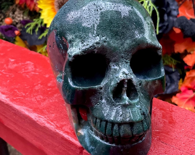Ocean Jasper Crystal Skull ~ Large 2 Lb. 10 oz. ~ 5" Long ~ High Quality ~ Expertly Hand-Carved Sculpture Vivid Colors ~ Fast Shipping