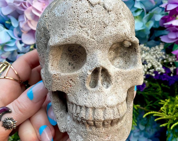 Fossilized Jasper Crystal Skull ~ Large 2 Lb. 5 oz. ~ 5" Long ~ Hand Carved Sculpture ~ Swirling Golden Natural Earth Colors