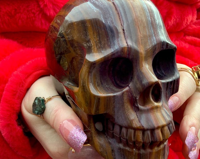 Tiger's Eye Skull Large 3 Lb. 2 oz. Crystal ~ 5" Long One-of-a-Kind Carving ~ Swirling Golden Red Brown & Black Colors ~ Quality Hand Carved