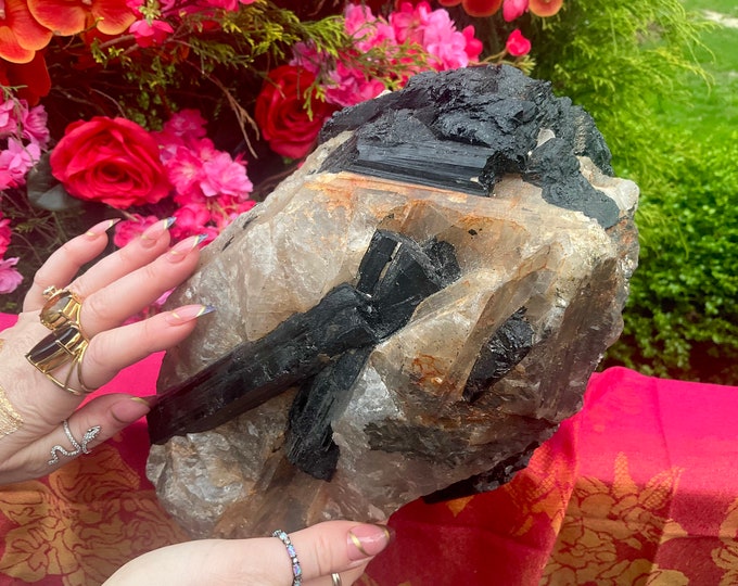 Black Tourmaline Crystal in Quartz Cluster ~ Large 36 lb. ~ 10" Long ~ Natural Beautiful Altar Display ~ Fast & Free Shipping from U.S.A. ~