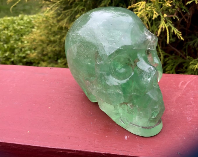 Green Fluorite Crystal Skull ~ Large 14 oz. ~ 3" Long ~ Hand Carved ~ Sparkling Translucent Crystal Sculpture ~ Fast & Free Standing