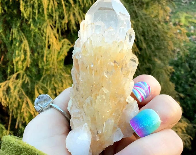Tibetan Golden Healer Elestial Quartz Crystal ~ 4.7 oz. ~ 3 1/2" Long ~ Natural Sparkling Cascading Points