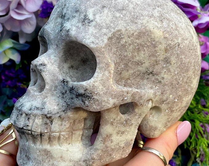Lepidolite Crystal Skull ~ Large 2 Lb. 14 oz. ~ 5" Long ~ Purple, White & Sparkling Silver Mica ~ Crown Chakra Reiki Healing Altar Display