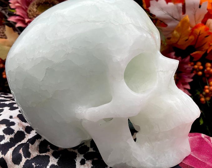 Blue Aragonite Crystal Skull ~ Large 2 Lb. 13 oz. ~ Hand Carved Sculpture ~ Metaphysical Home Decor ~ Altar Display ~ Free Shipping U.S.A. ~