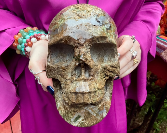 Boulder Chrysoprase Crystal Skull ~ Large 6 Lb. 9 oz. ~ 6" Long ~ Glowing Green & Golden Brown ~ One-of-a-Kind Hand Carved ~ Fast Shipping