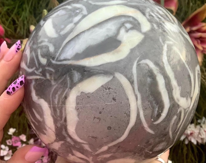 CLEARANCE! ~ Fossilized Jasper Crystal Ball ~ Large 10 Lb. 14 oz.~ 6" Wide ~ Polished Sphere w Silver Metal Twig Stand ~