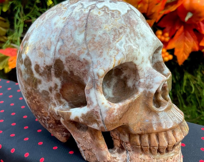 Aragonite Crystal Skull ~ Large 2 Lb. 12 oz. ~ 5" Long ~ Hand Carved Sparkling Brown & White Crystal Sculpture ~ Fast Free Shipping U.S.A. ~