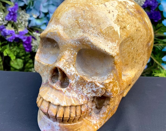 Yellow Ocean Jasper Crystal Skull ~ Large 2 Lb. 10 oz. ~ 5" Long High Quality ~ Expertly Hand-Carved Sculpture Vivid Colors