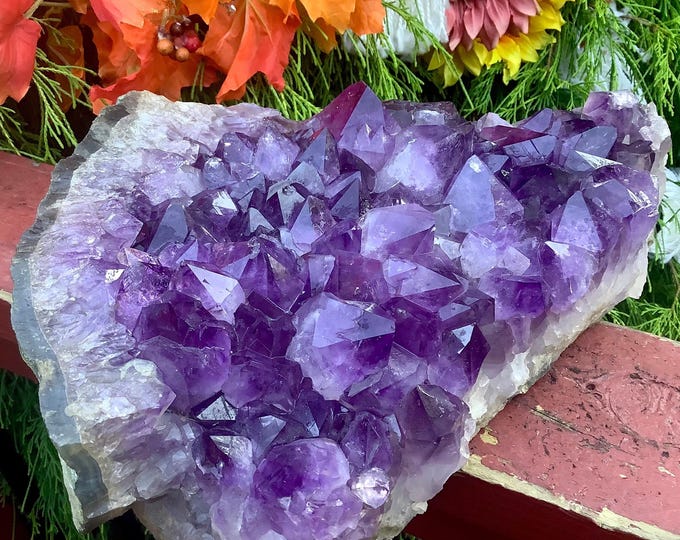 Amethyst Crystal Cluster ~ Large 11 lb. ~ 11" Tall ~ Stunning Purple Color ~ Crown Chakra Healing Home Decor Specimen