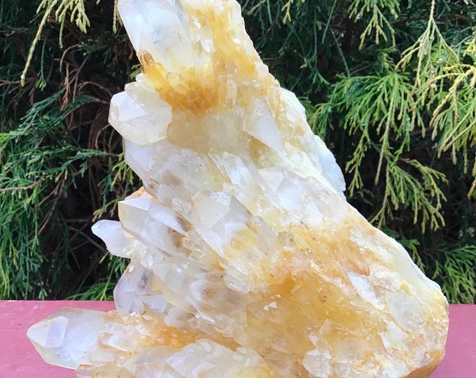 Elestial Golden Healer Large 5 Lbs. 15 oz. Crystal Cluster ~ 8" Long ~ Perfect Meditation Stone ~ Gift, Display, Office, Home, Décor