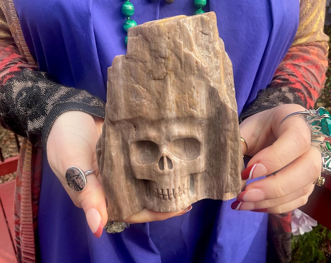Petrified Wood Crystal Skull ~ Large 1 Lb. 2 oz. ~ 4 1/2" Tall ~ One-of-a-Kind Earthy Colors ~ Expertly Hand Carved Sculpture