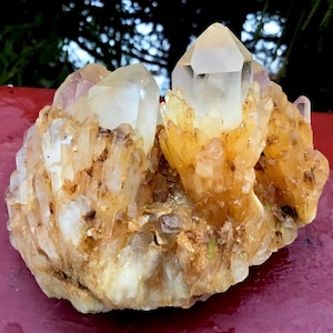 Golden Healer Elestial Quartz Crystal Cluster ~ Large 7 oz.~ 3" Long ~ Sparkling Clear Golden Cascading Baby Points ~ Fast & Free Shipping ~