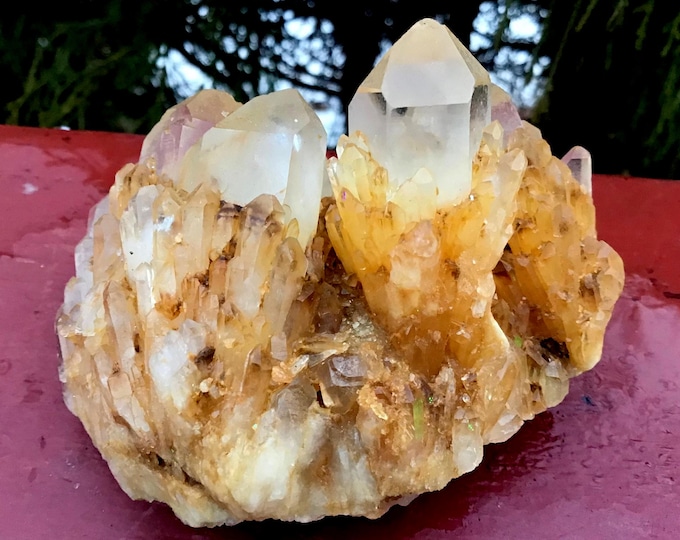 Golden Healer Elestial Quartz Crystal Cluster ~ Large 7 oz.~ 3" Long ~ Sparkling Clear Golden Cascading Baby Points ~ Fast & Free Shipping ~